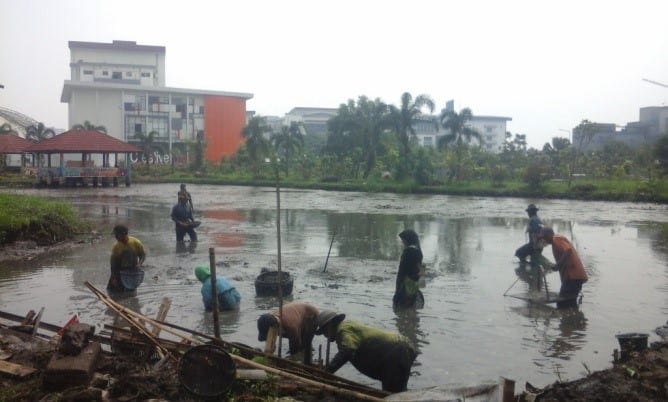 Fish pond